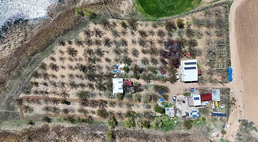 Tarımda tarihin en büyük felaketi yaşanıyor! Meyve, sebze fiyatlarında rekor artış yaşanacak 34